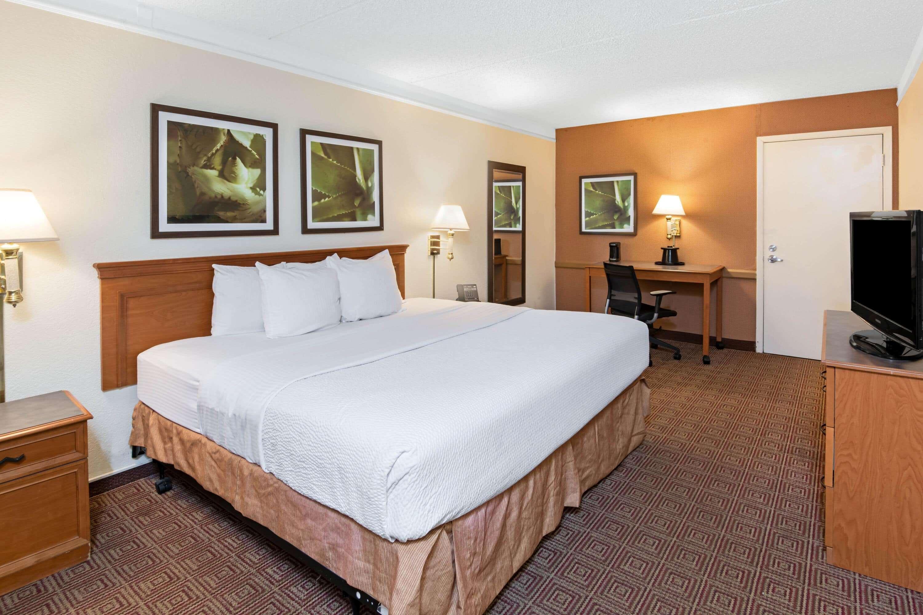 La Quinta Inn By Wyndham San Antonio Lackland Esterno foto